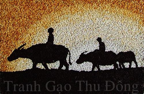 Phong cảnh Việt Nam 17